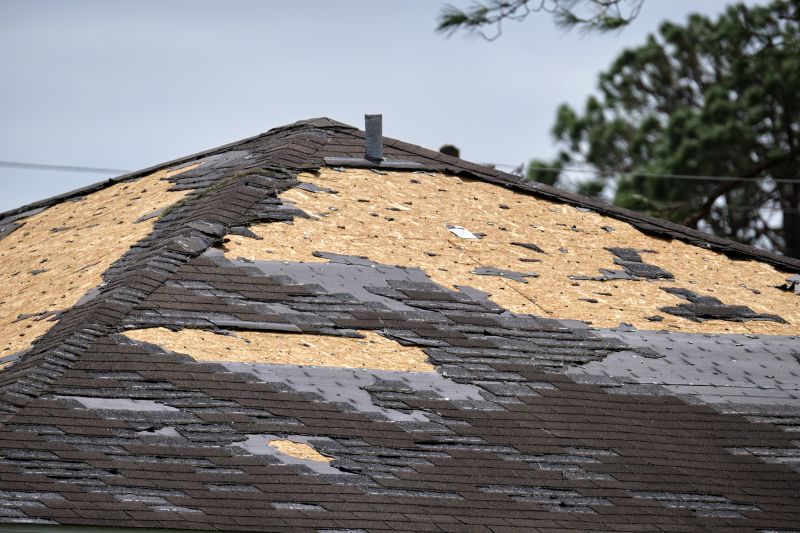 Repairing Damaged Shingles