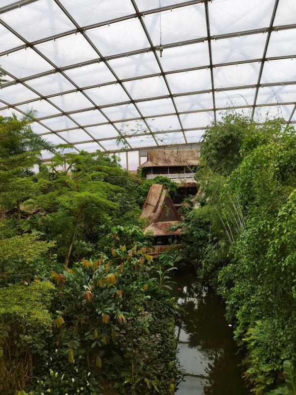 Green Roof Installations